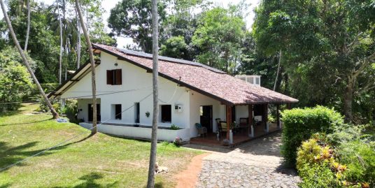 3.5 Acres 3 bedroom villa with cinnamon plantation