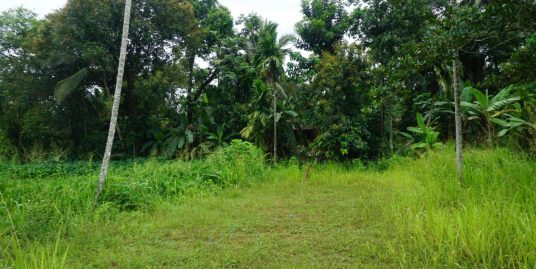 Tranquil Vacant Land with Paddy Field Views