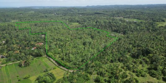 34-Acre Green Land: Perfect for Eco-Projects & Investment