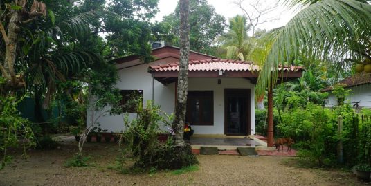 4-Bedroom House with Stunning Paddy Views- Ahangama