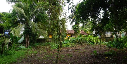 Affordable 27 Perch Land Ideal for Private Home or Villa in Ahangama